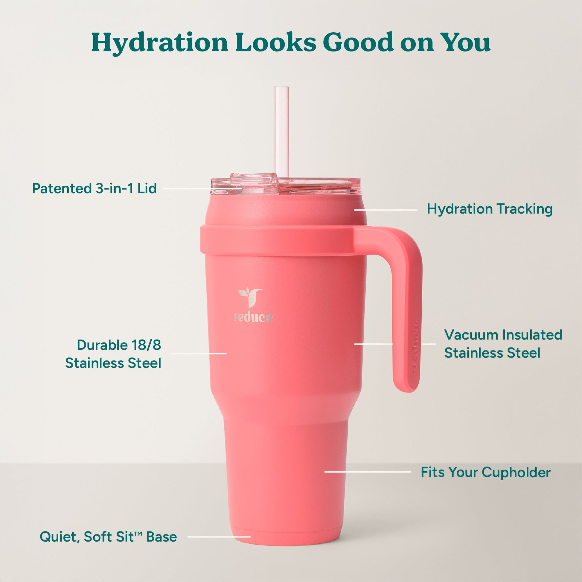cold1-40-oz-y2 Cold1_40oz_Daiquiri_Infographic_2.jpg