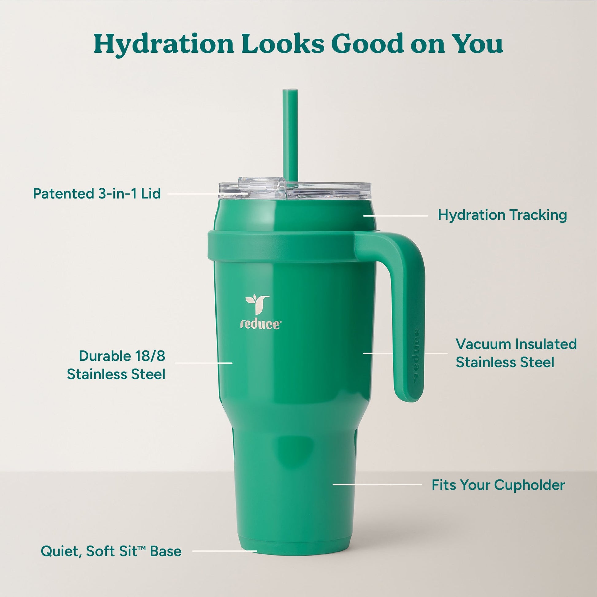 cold1-40-oz-y2 Cold1_40oz_PalmLeaf_Infographic_2.jpg