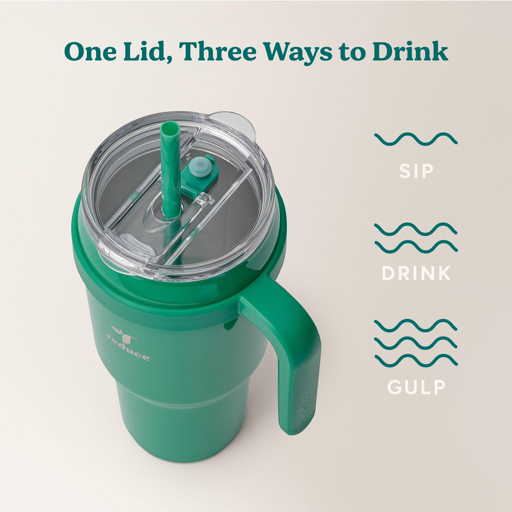cold1-40-oz-y2 Cold1_40oz_PalmLeaf_Infographic_3.jpg