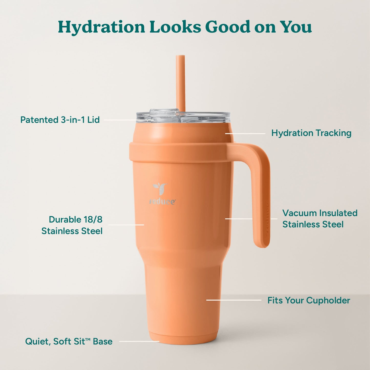 cold1-40-oz-y2 Cold1_40oz_Papaya_Infographic_2.jpg