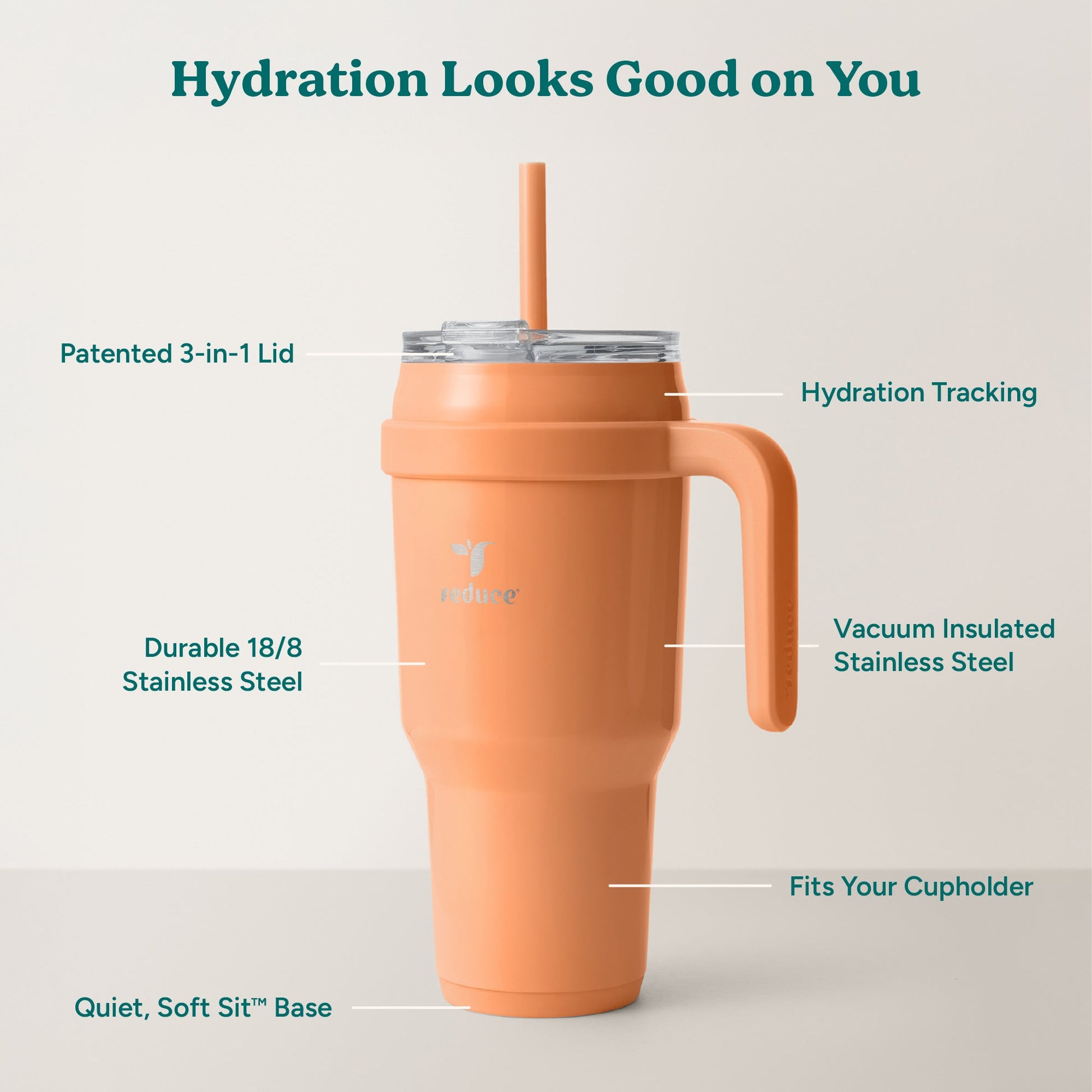 cold1-40-oz-y2 Cold1_40oz_Papaya_Infographic_2.jpg