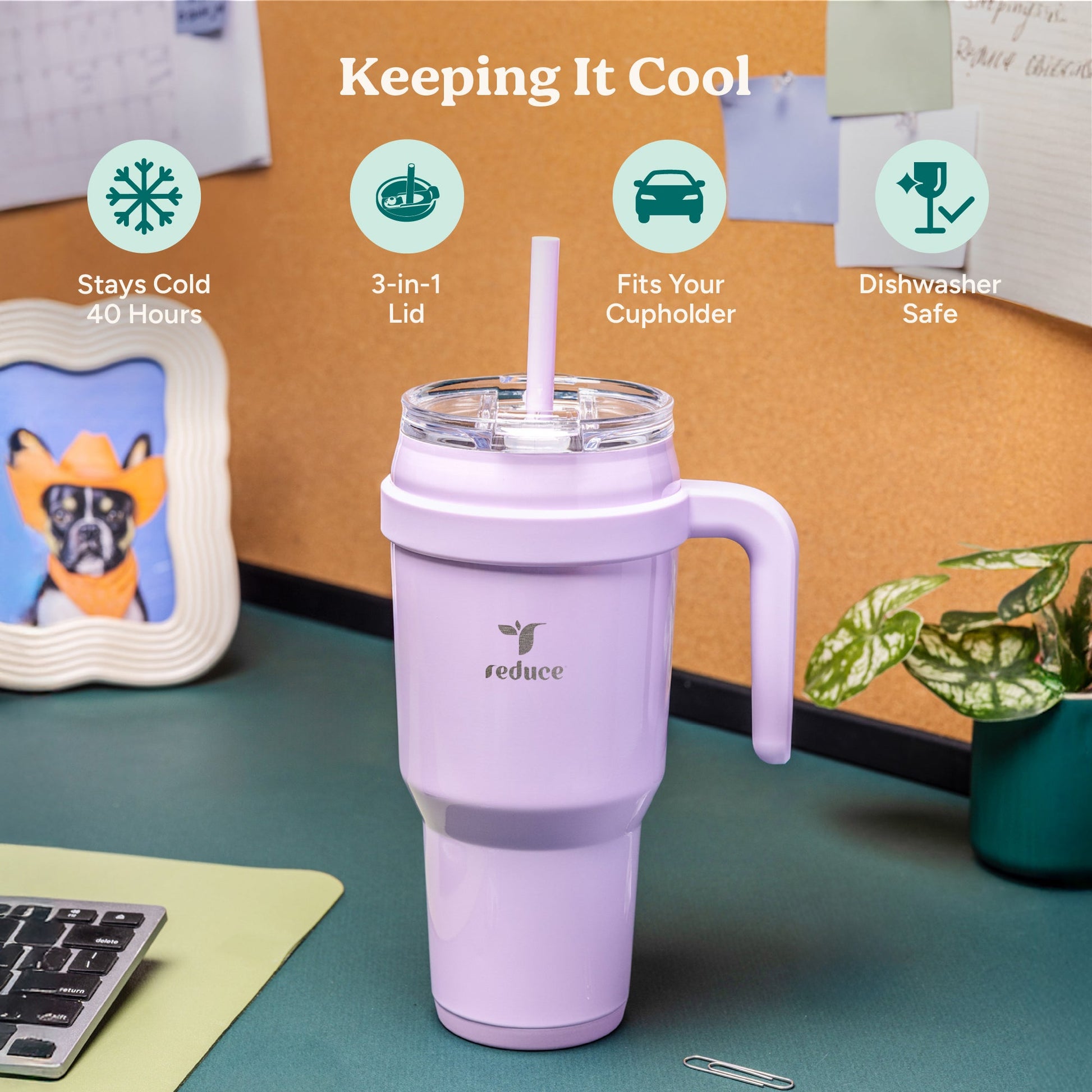 cold1-40-oz-y2 Cold1_40oz_PinaColada_Infographic_1.jpg