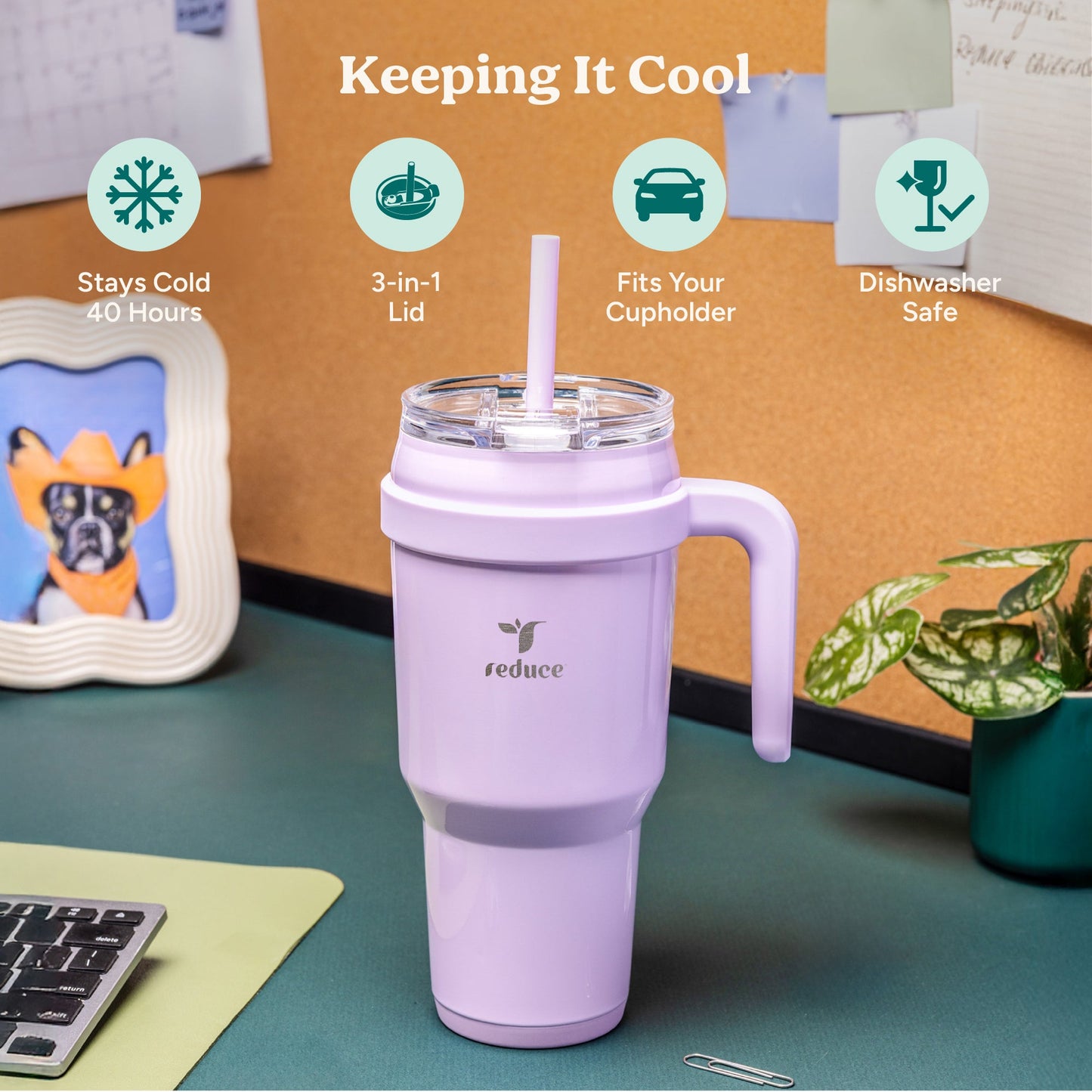 cold1-40-oz-o6 Cold1_40oz_Pineapple_Infographic_1.jpg