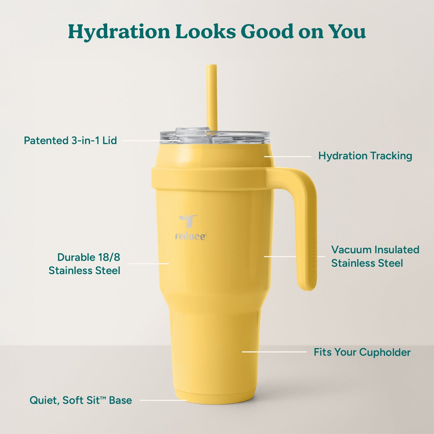 cold1-40-oz-y2 Cold1_40oz_Pineapple_Infographic_2.jpg